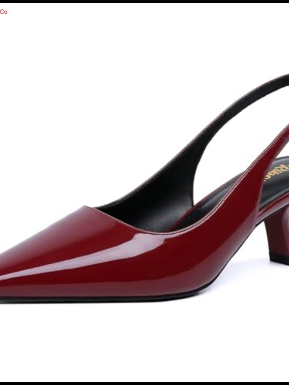 Women's Slingback Kitten Heels Pointy Closed Toe Dressy Pumps